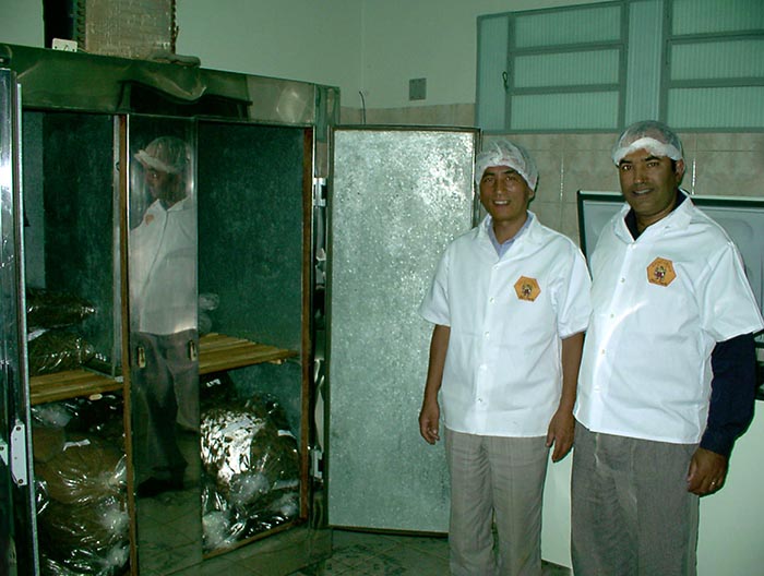 Modern Abe Youando Pharmaceuticals